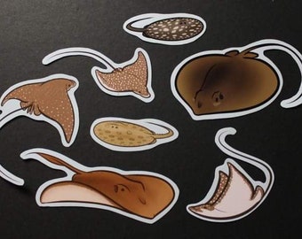 Waterproof Stingray Sticker Set