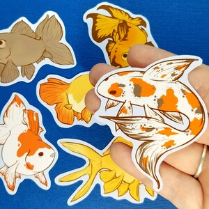 May include: A selection of goldfish stickers in different designs and colours. The stickers depict detailed illustrations of goldfish in shades of brown, orange, white, and yellow. The stickers are on a blue background.