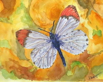 Yellow Butterfly watercolor painting