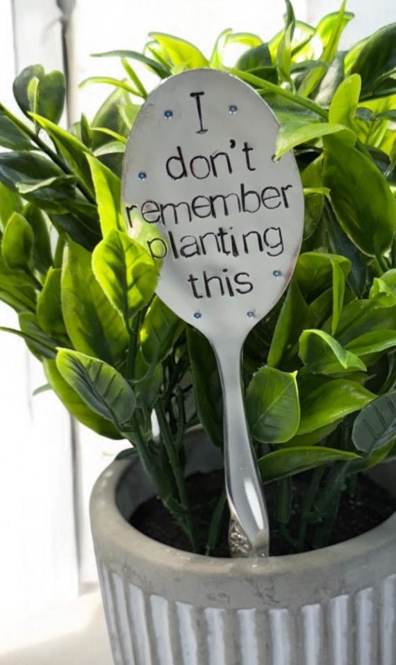 Funny Spoon Plant Marker - I dont remember planting this - Garden Decoration