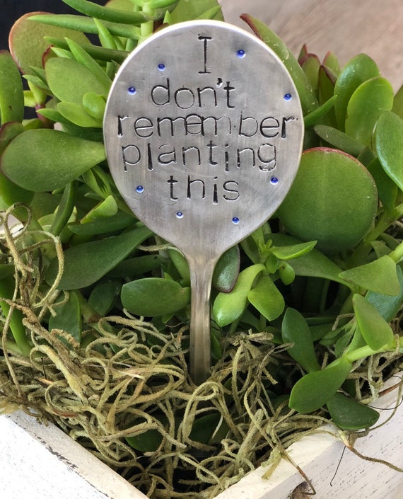 Funny Spoon Plant Marker - I dont remember planting this - Garden Decoration