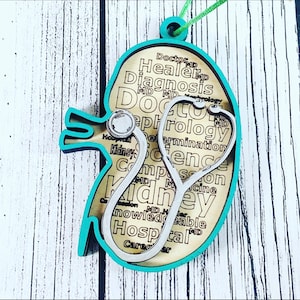 Anatomical Kidney Dr. Christmas ornaments -  -Kidney Doctor Ornament - Nephrology- Nephrologist