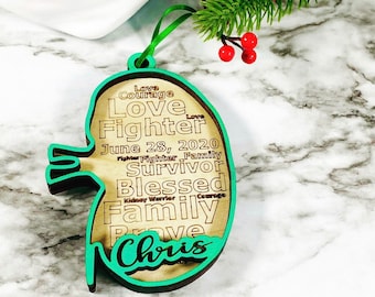 Anatomical Kidney Christmas ornaments -  -Kidney Ornament - Personalized!!!!