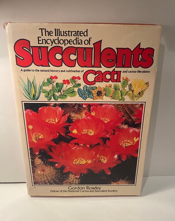 The Illustrated Encyclopedia of Succulents by Gordon Rowley