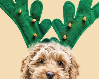 cockapoo xmas jumper