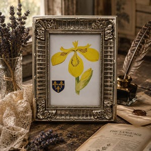 May include: A rectangular silver-toned picture frame with ornate leaf detailing at the corners. Inside the frame is a botanical illustration of a yellow iris flower and a small blue shield featuring three gold fleur-de-lis symbols.