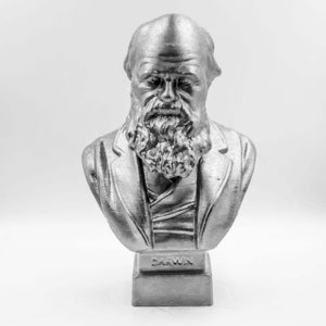 Charles Darwin sculpture statue statuette bust multicolor handpainted gift evolution scientist