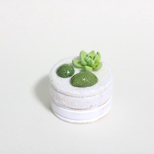 Portagioie in stile terrario succulento, porta anelli in legno circolare per amanti delle piante o matrimonio a tema succulento - piccolo verde con muschio