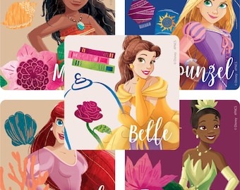 25 Disney Princess Stickers, 2.5" x 2.5" Each