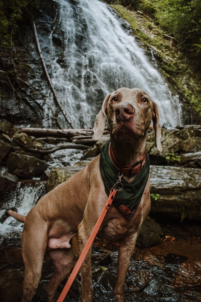Flannel Pearl Snap Dog Bandana Yosemite Trio Flannel Bandana Plaid Fabric Pearl Snap Bandana Dog Bandana