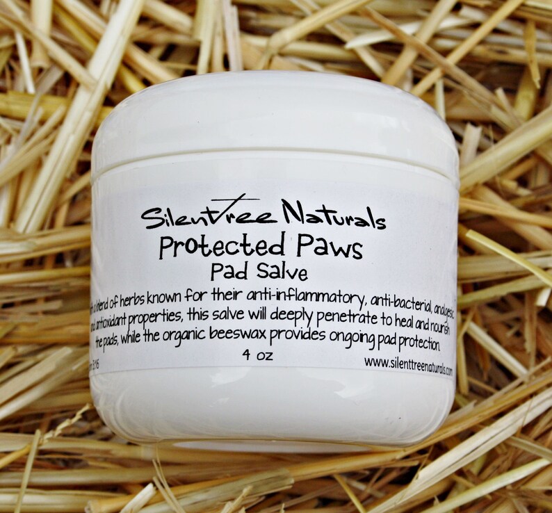 Protected Paws Pad Salve 4 ozNatural Pet Care Paw Salve Etsy