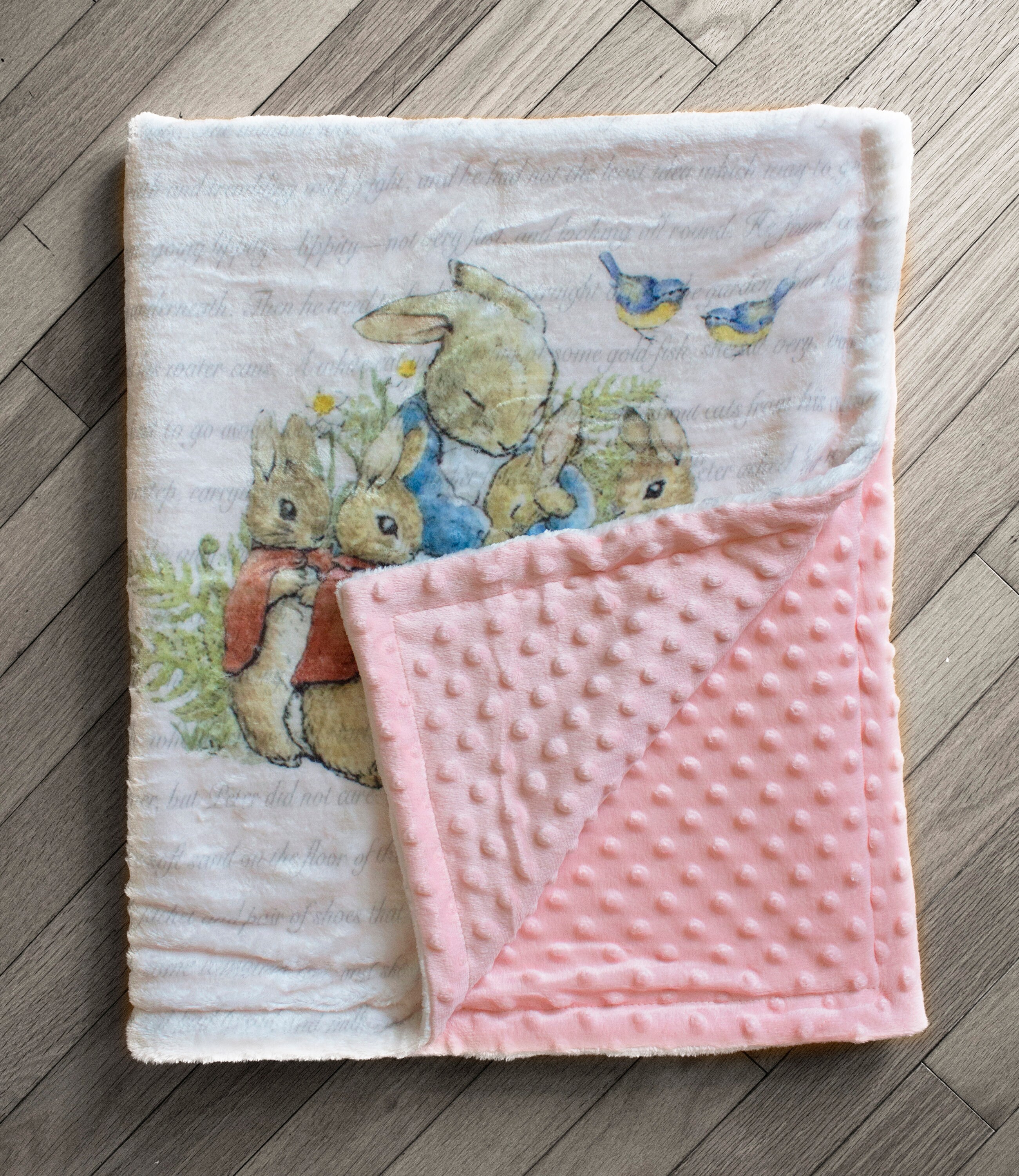 Peter Rabbit Baby Blanket, Peter Rabbit Nursery Baby Gift, Peter Rabbit Baby Shower, Beatrix Potter Minky Blanket, Bunny Rabbit Small Blanky