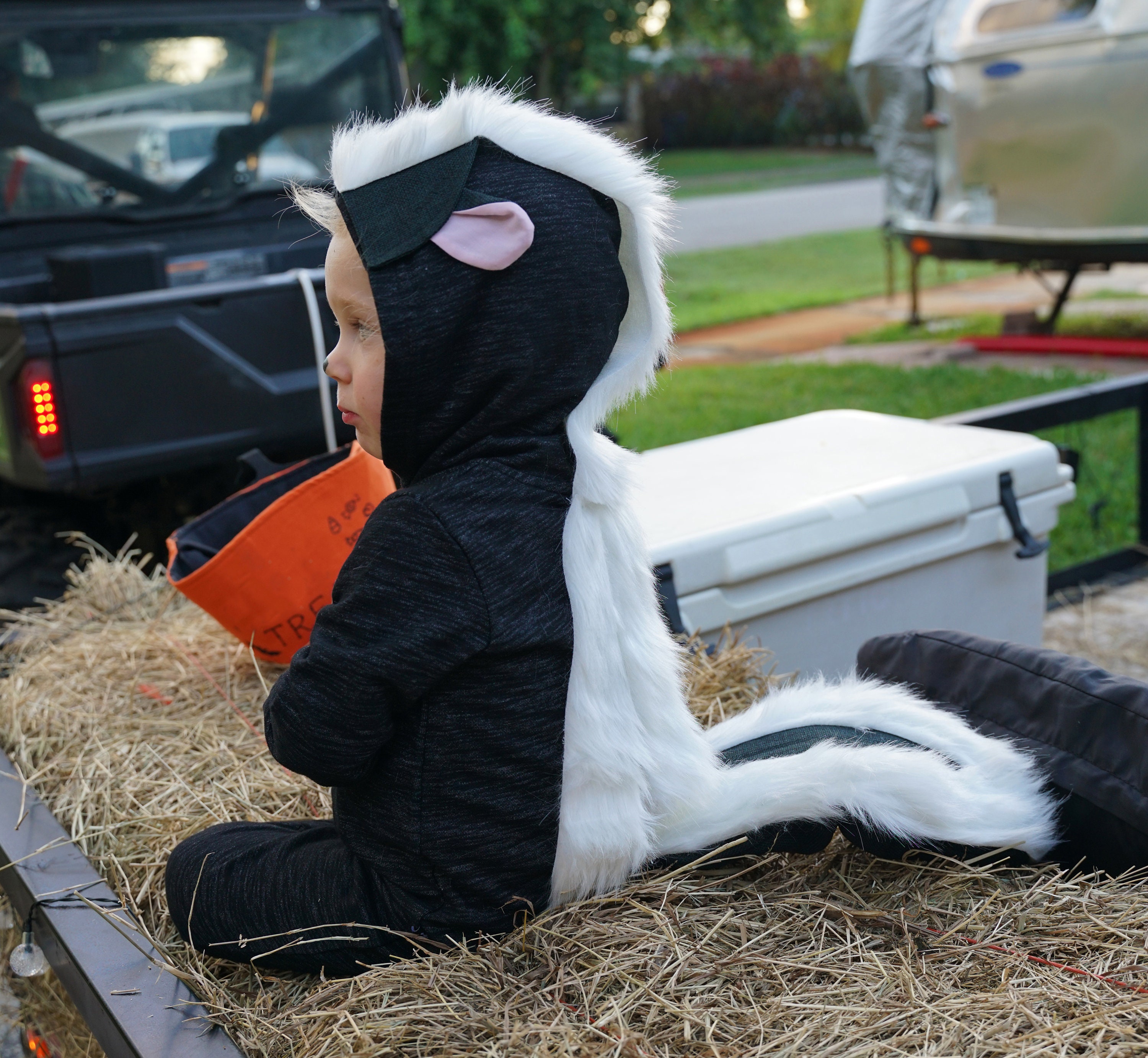 18 month skunk best sale costume