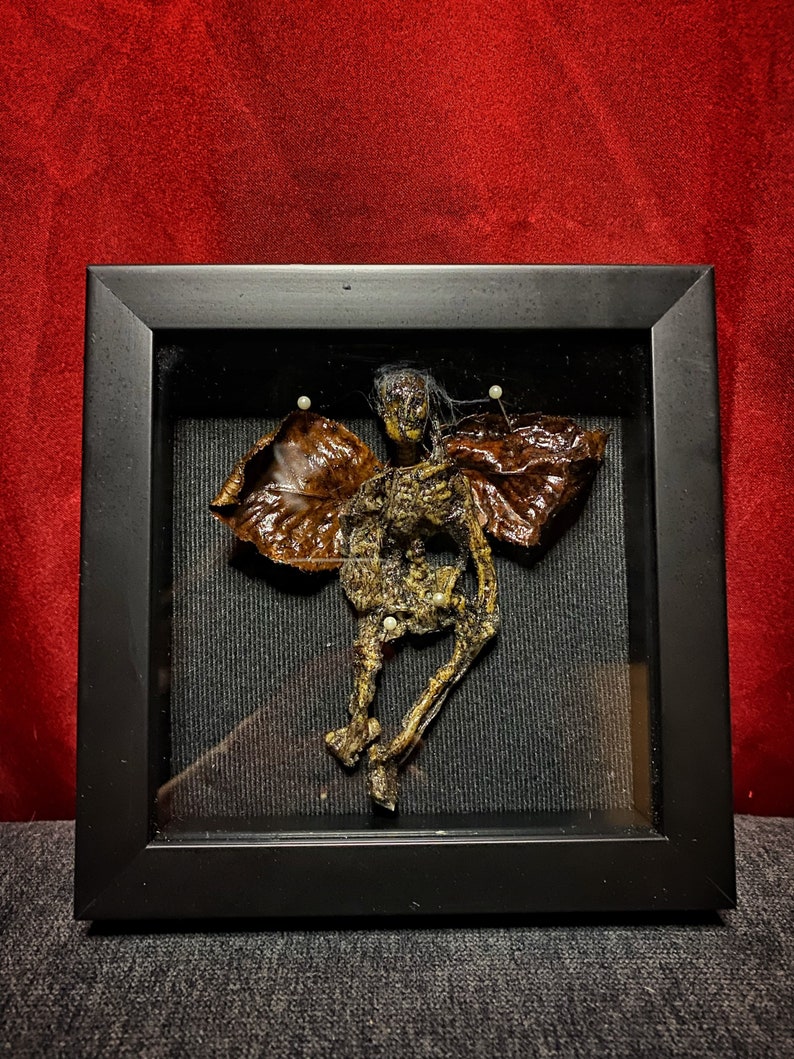 Fairy Skeleton Specimen OOAK Creepy Scary Fairy Skeleton Specimen OOAK Creepy Scary