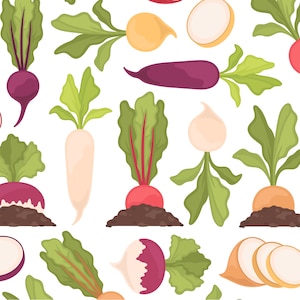 Radis & navet clipart, printemps été betterave clip art, clipart jardin potager, cuisine alimentaire végétal clip art, usage commercial