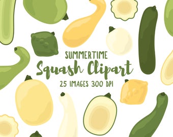 Summertime Squash Clipart - 25 Hi Res PNG Files - Squash Illustrations, Veggie Clipart, Nature Clipart, Summer Clipart