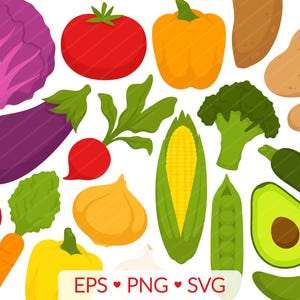Clipart Légume Images - Légumes d'été Tomate Carotte Pois Brocoli Chou Pomme De Terre Courgette Maïs Radis Avocat Poivron Champignon