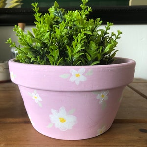 May include: A pink terracotta flower pot with white painted daisies. The pot is filled with a green leafy plant.