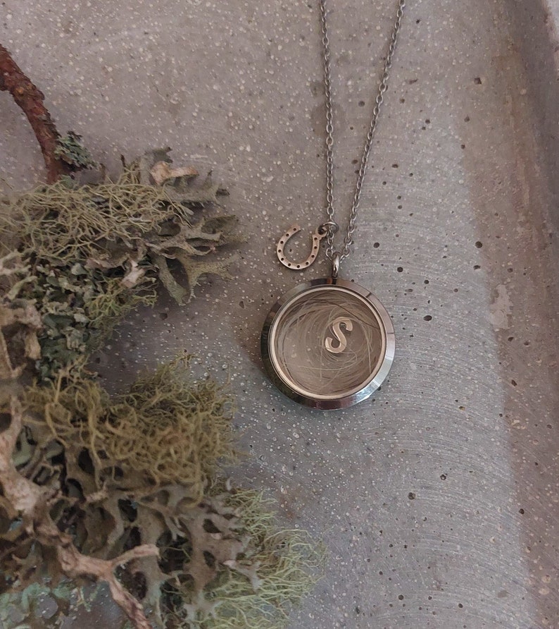 May include: Silver locket necklace with a small horseshoe charm. The locket is open and contains a lock of hair with the letter "S" engraved inside.