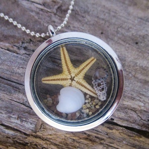 Pode incluir: Um colar com um pingente de prata e um inserto de vidro transparente que contém uma pequena estrela do mar, uma concha branca e areia.