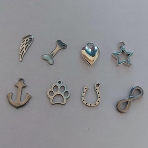 May include: A set of ten silver charm pendants, including a paw print, a heart, a bone, an anchor, a horseshoe, an infinity symbol, a wing, and a star.