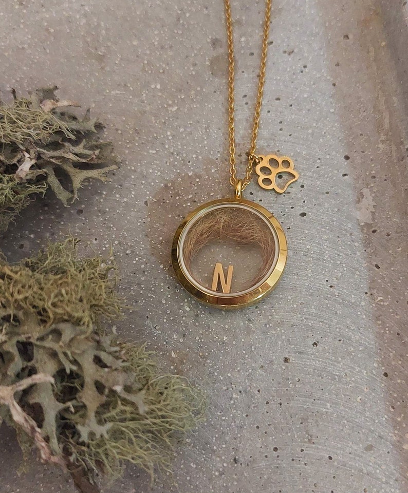May include: Gold necklace with a round locket containing hair and the letter N. The locket is attached to a small paw print charm.