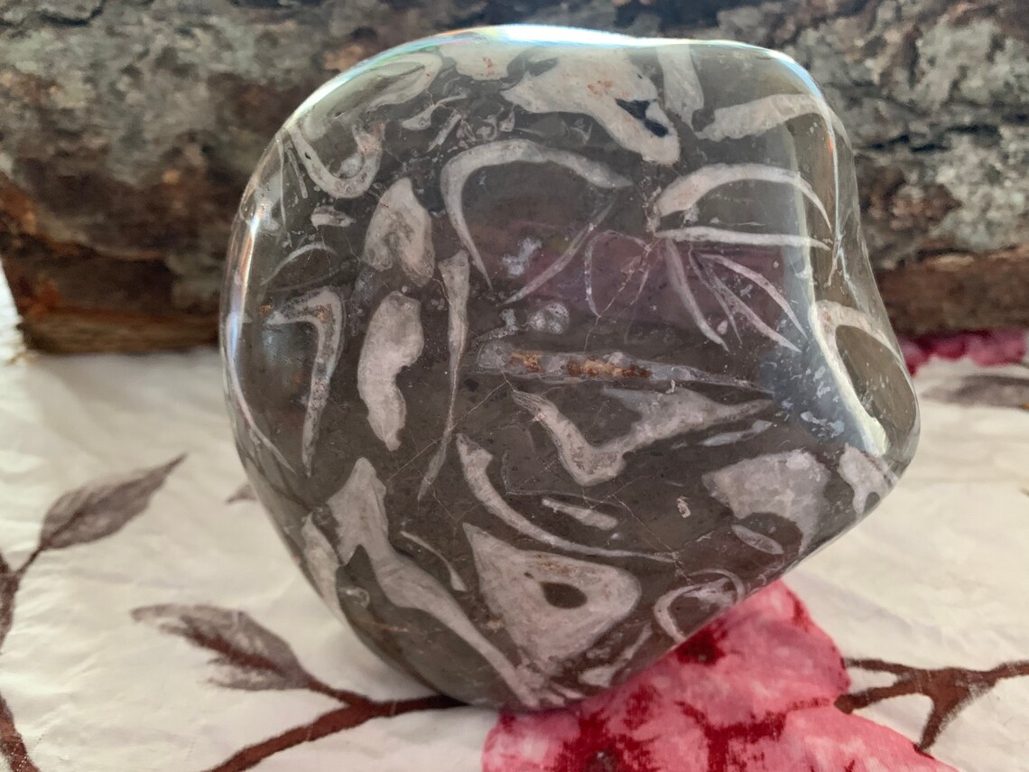 RARE Thousand Eye Jasper Freeform FREE SHIPPING Etsy