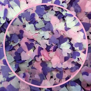 Eco Biodegradable Wedding Confetti - Purple Pale Pink and Cream