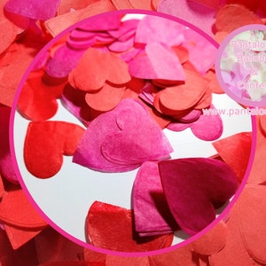 Biodegradable Wedding Heart Confetti - Pale Pink, Red and Fuchsia Pink