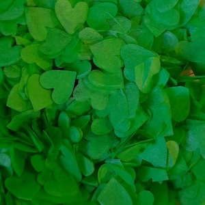 Eco Biodegradable Wedding Confetti - Mid Apple Green  Hearts