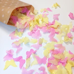 Biodegradable Wedding Confetti - Flamingo Pink and Pale Yellow