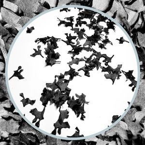 May include: A close-up of black confetti, with a magnified view showing the intricate details of the confetti pieces.