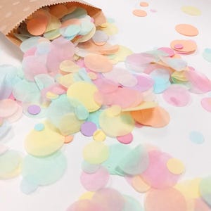 Biodegradable  Wedding Confetti - Rainbow Pastel Mix
