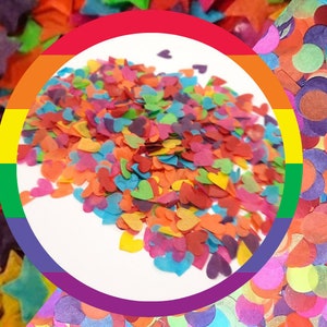 Eco-friendly Biodegradable Wedding Confetti - Rainbow mix Confetti