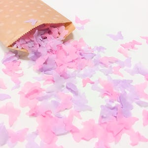 Biodegradable Wedding Butterfly Confetti -  Lilac and Pale pink