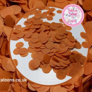 Eco Biodegradable Wedding Confetti - Burnt Orange