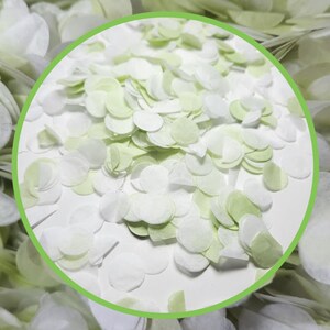 Eco Biodegradable Confetti Hearts, Circles or Stars  - Willow Green and White