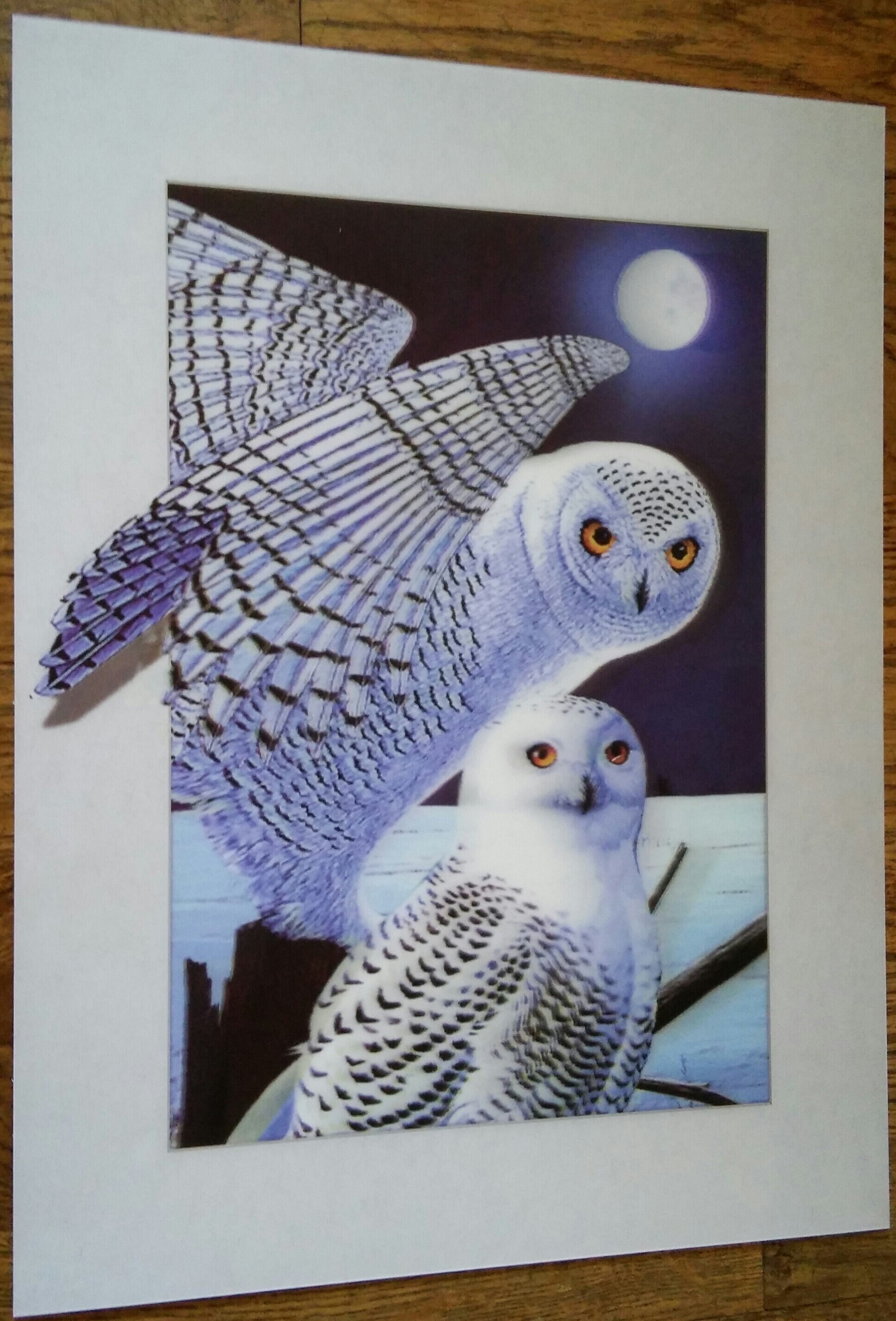 Snow Owls 3D Print - Etsy Israel