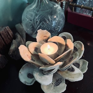 oyster shell candle holder