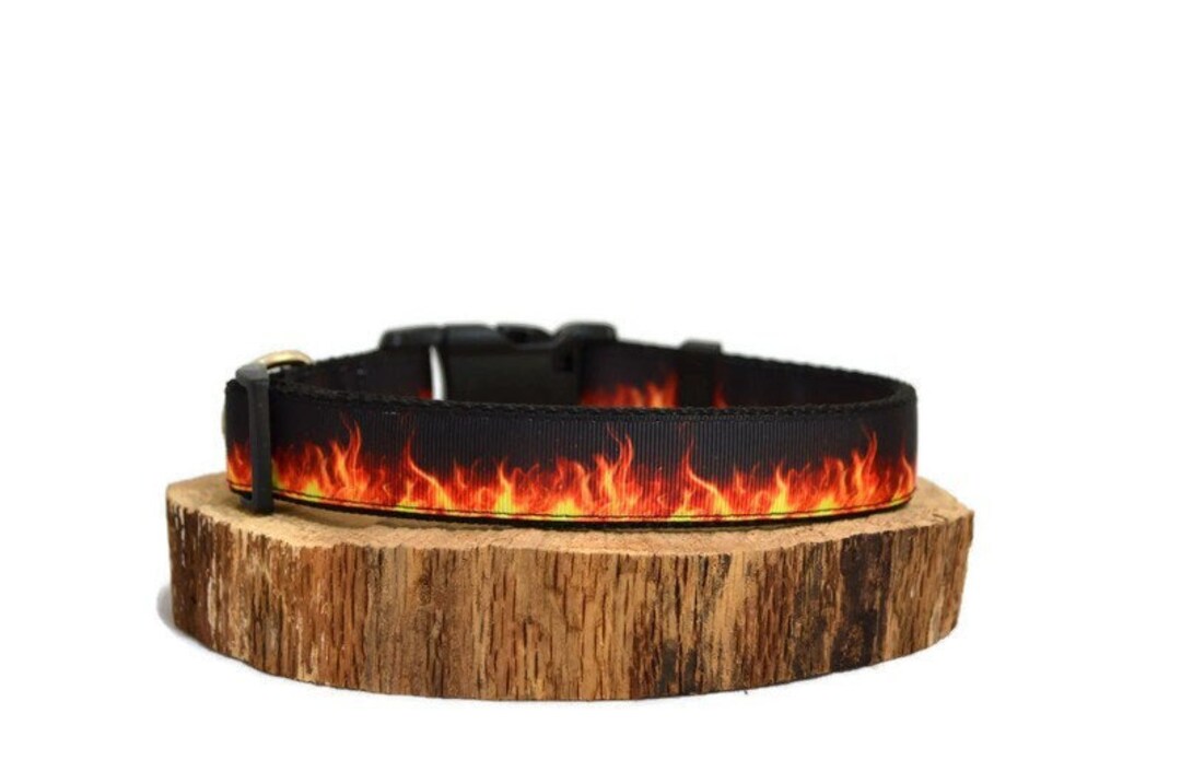 Flames Dog Collar Fire Hot Dog Collar Etsy