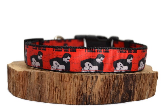 Red line dog best sale collar