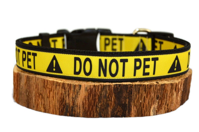 Do Not Pet Dog Collar Service Dog Support Dog Pet Etsy