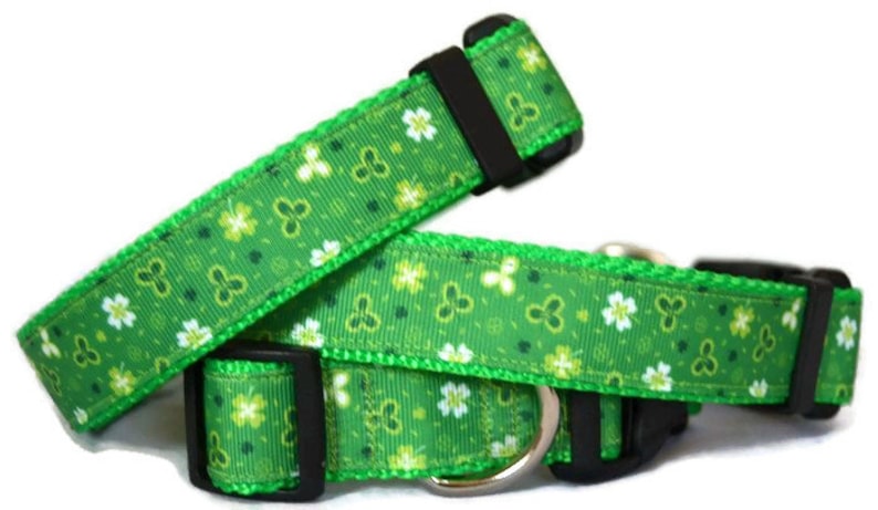 St Pattys Dog Collar Clover Dog Collar Green Dog Collar Lucky Dog