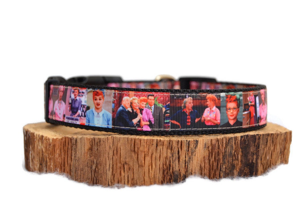 best dog food to help your dog lose weight