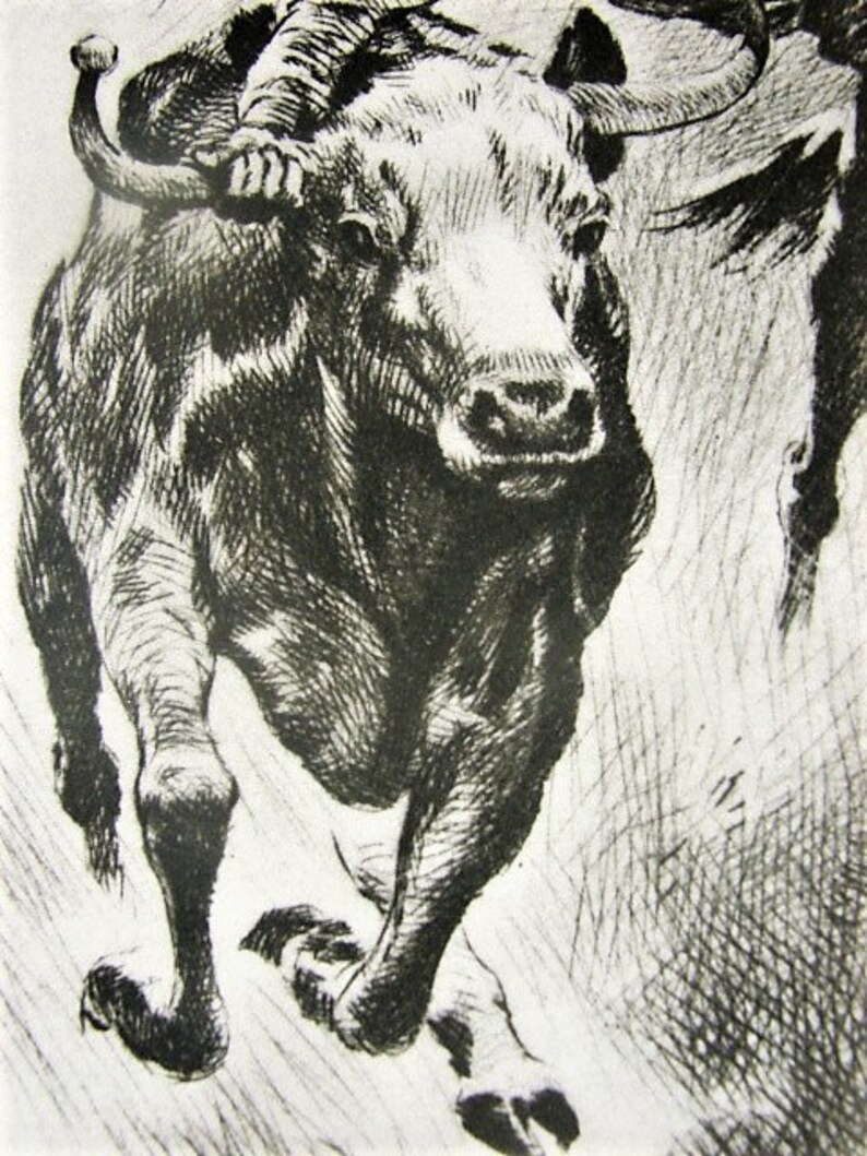 BULLDOGGING Etching by R H Palenske Talio-Chrome ca 1945