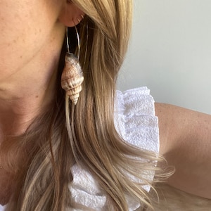 Shell hoop earrings / beach earrings / shell jewelry / beach shell earrings / dangle earrings / statement earrings /