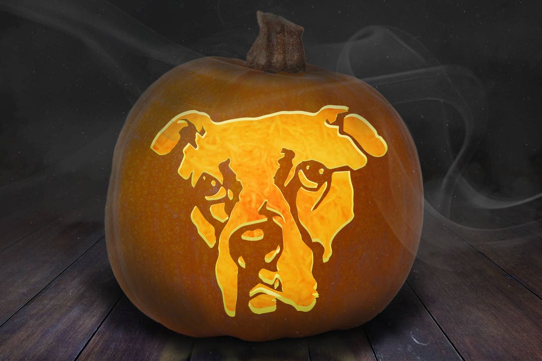 Boxer Dog Face Pumpkin Carving Stencil Printable - Etsy