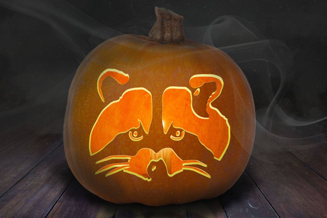 Raccoon Pumpkin Carving Stencil Printable Etsy Raccoon Pumpkin Carving Stencil Printable Etsy