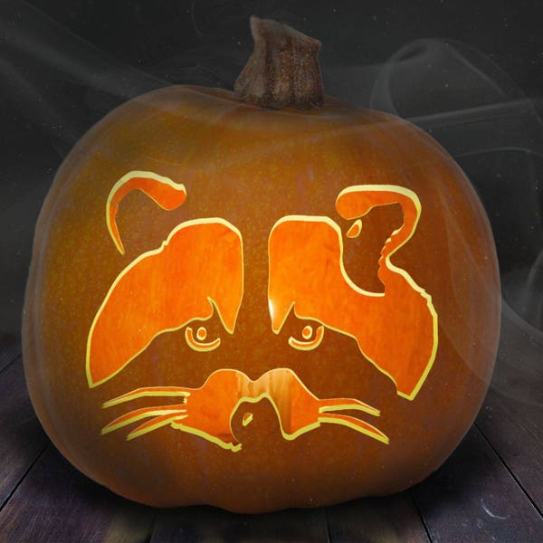 Raccoon Pumpkin Carving Stencil Printable