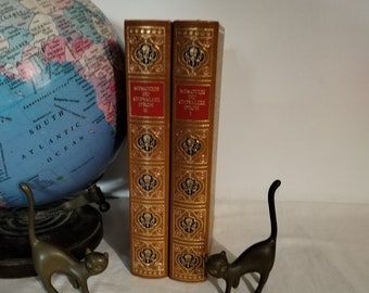ensemble de 2 livres  les mémoires du chevalier d'Eondéco vintage bibliothèque mariage boutique vitrine étagère rouge doré façon cuir